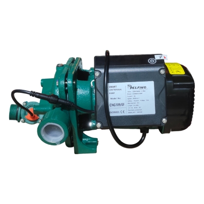 Bơm tăng áp dòng chảy Delfino – 400W / ITALY